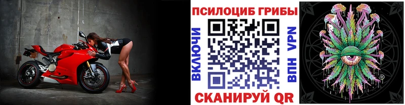 Псилоцибиновые грибы мухоморы  наркошоп  Урюпинск 